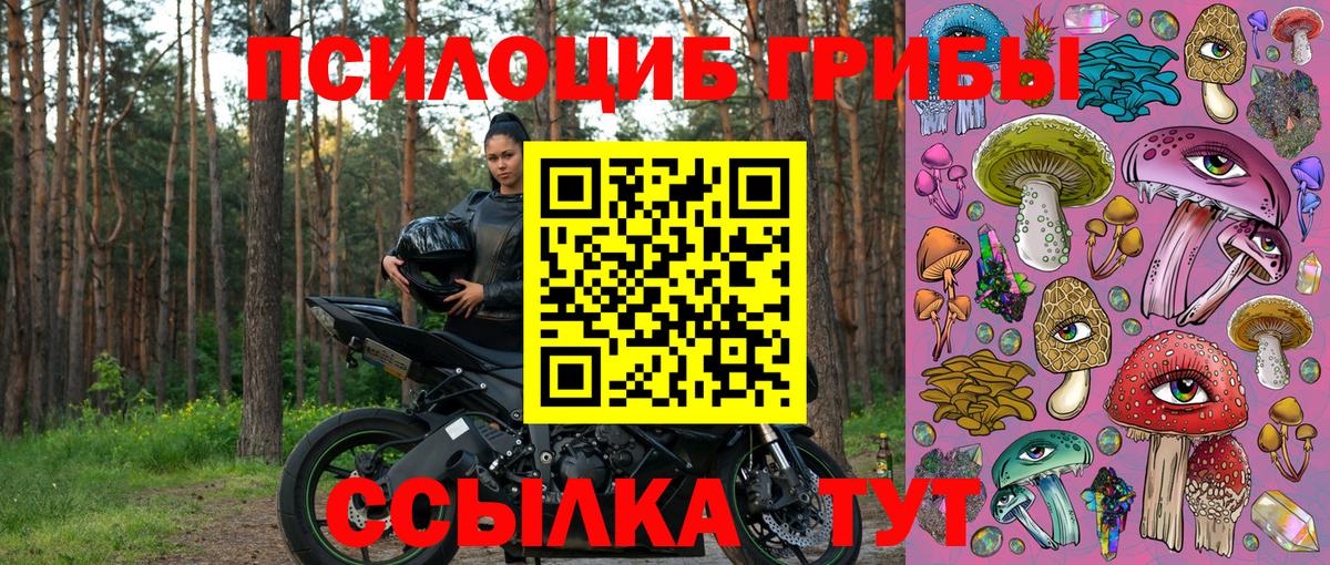 Псилоцибиновые грибы Cubensis Зерноград