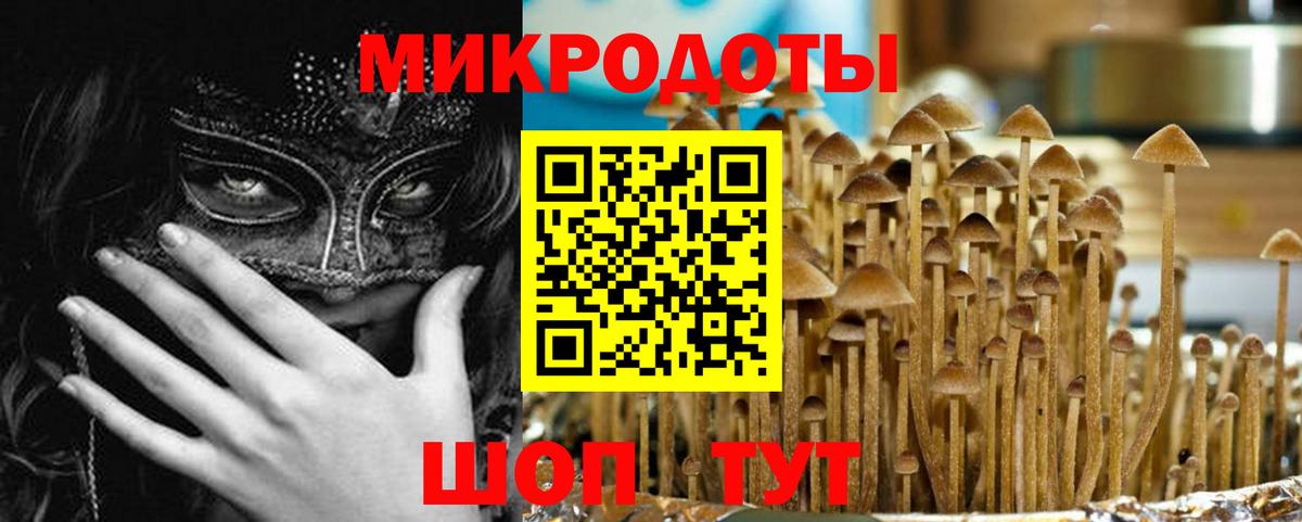 Зерноград  Псилоцибиновые грибы Psilocybe  Вход с VPN  Галлюциногенные грибы Cubensis 